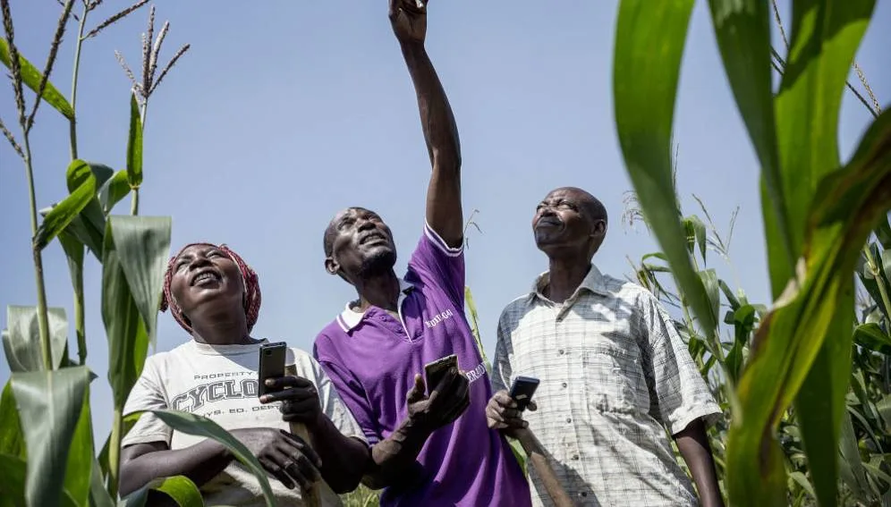 Gestion d'une ferme agricole via le numérique