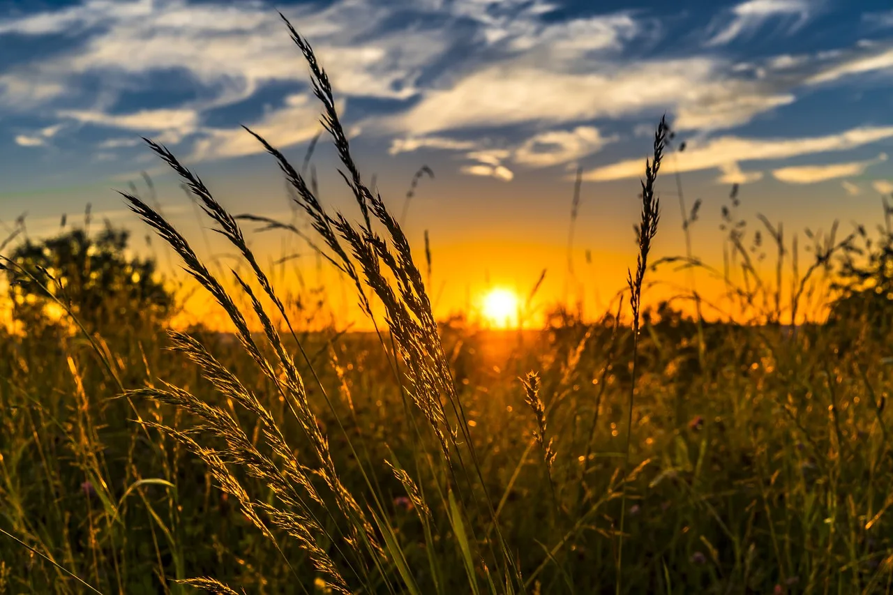 Rédaction des projets agricoles