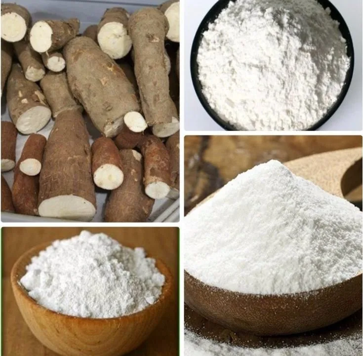 Transformation du manioc en amidon