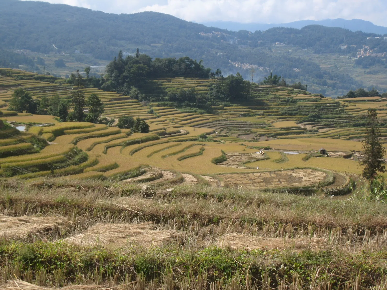 Aménagement anti-erosif agriculture