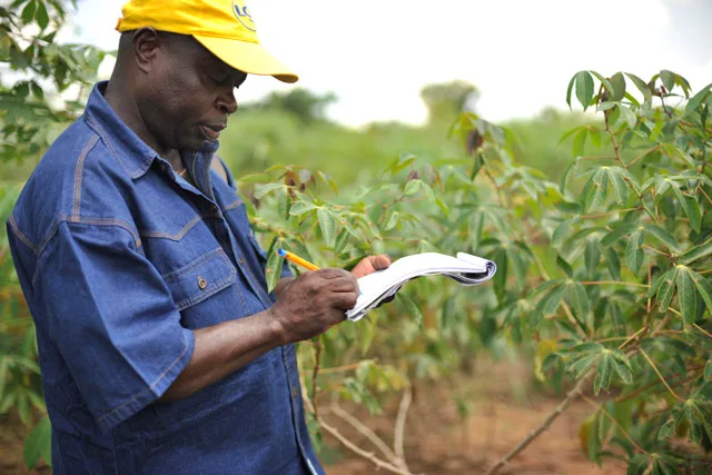 Comment lancer une exploitation agricole
