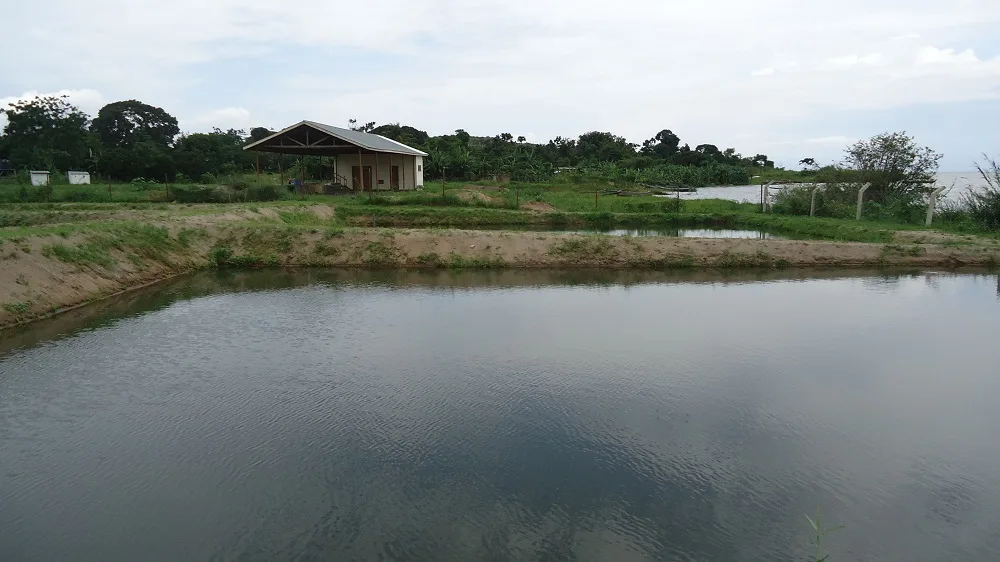 Aquaculture et Pisciculture