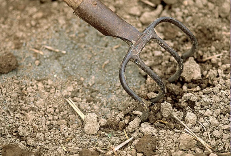 Fertilité du sol : Comment améliorer les sols agricoles défectueux