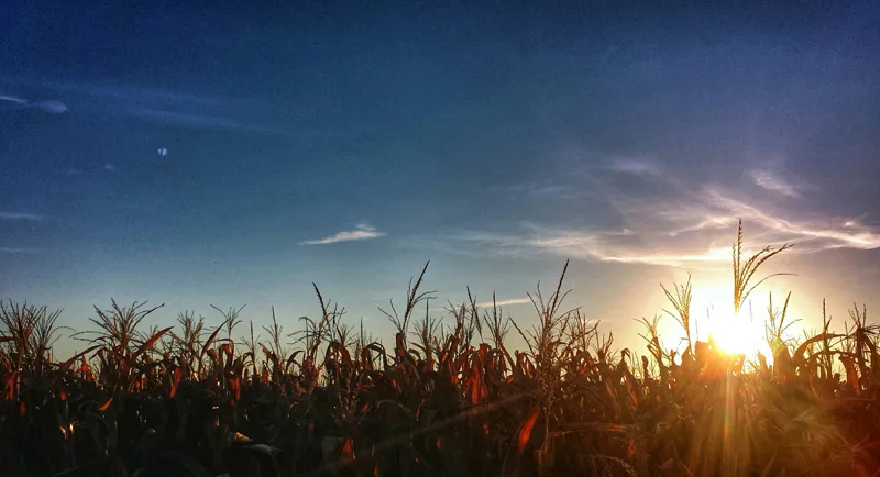 Évaluation des terres, une démarche incontournable pour une production agricole durable