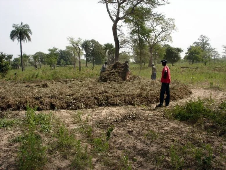 Les principales causes de l'appauvrissement des sols agricoles